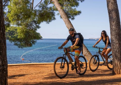 WhatsApp Image 2024-09-25 at 16.41.43 (1)